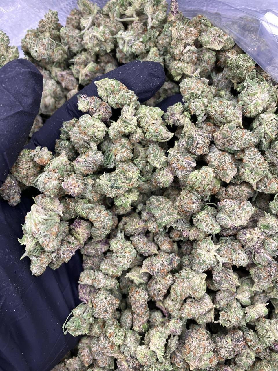 BLUE NERDS SMALLS